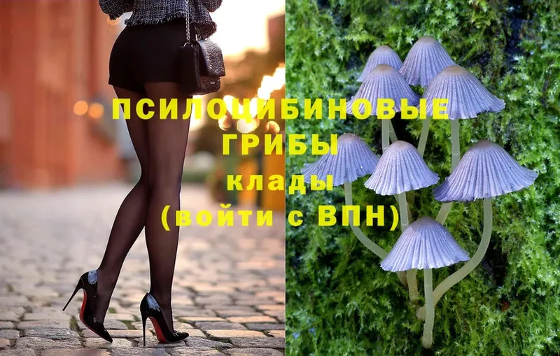 Псилоцибиновые грибы Cubensis  где продают наркотики  hydra как зайти  Кинель 